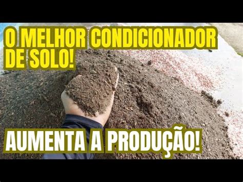 O MELHOR CONDICIONADOR DE SOLO ADUBO ORGÂNICO YouTube