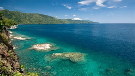 Scuba diving in Ambon, Indonesia | ZuBlu