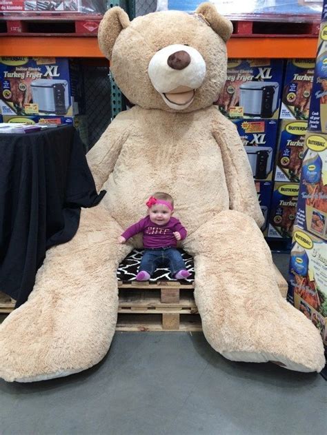 22 Reasons Costco Is Americas Greatest Achievement Costco Bear