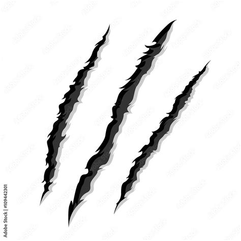 Vector Illustration Of Claw Scratches Stock Vector Adobe Stock