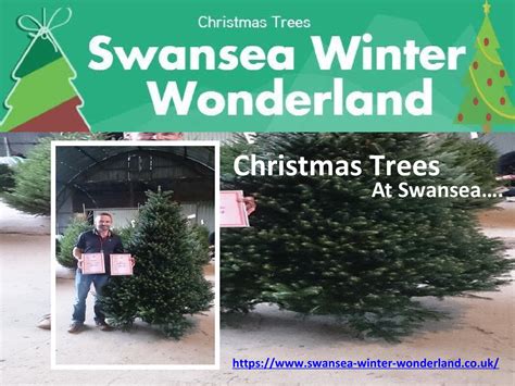 Swansea Winter Wonderland - A Perfect Christmas Trees by Swansea Winter ...