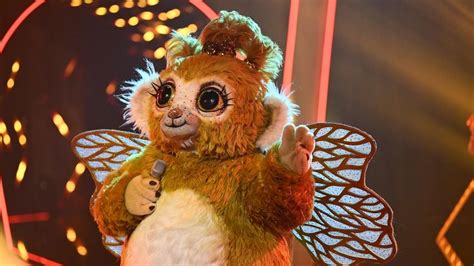 Goldi Und Co Neue The Masked Singer Kostüme Enthüllt