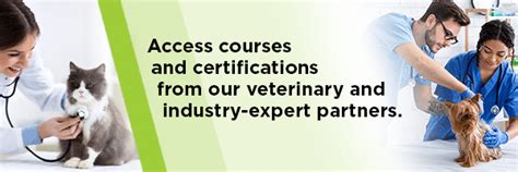 Education Animal Wellness Academy