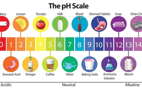 Ph What You Need To Know Treat My Water