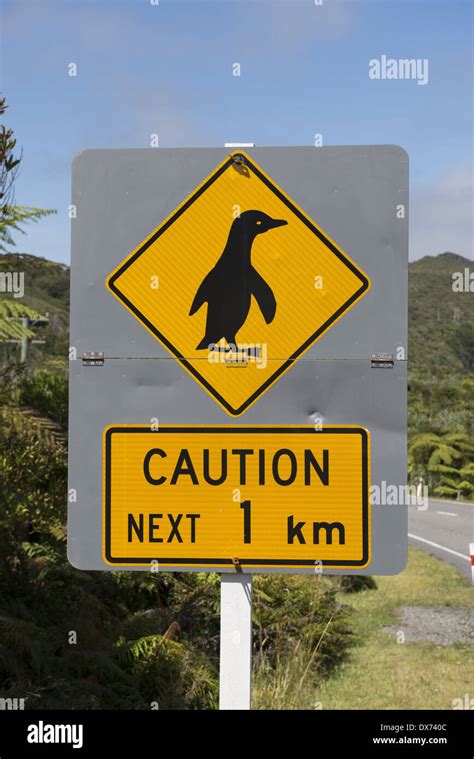 Penguins Warning Sign Hi Res Stock Photography And Images Alamy