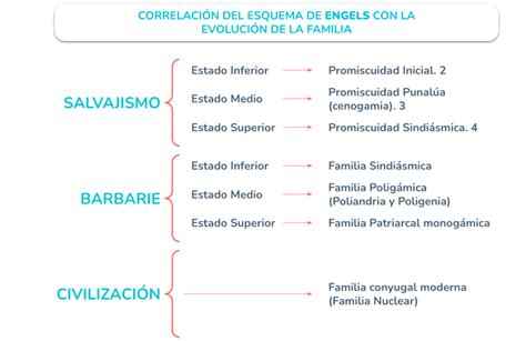 Clase Digital Evoluci N Hist Rica De La Familia Recursos