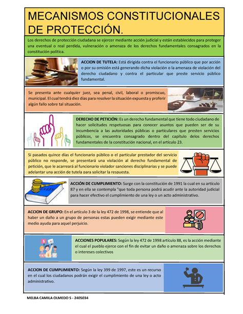 Infografia De Mecanismos Constitucionales De Proteccion Mecanismos