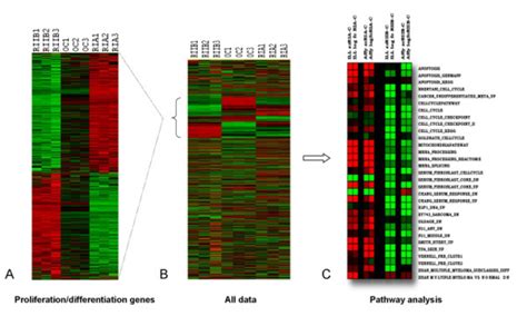 Heatmap Visualization Of Gene Expression Data From Pka Subunit