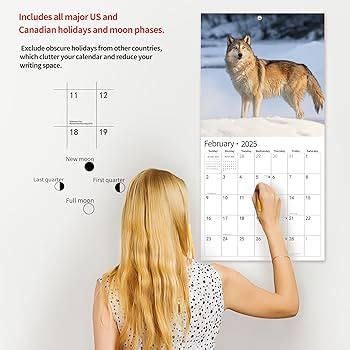 Clutter Free February 2025 Calendar Pdf Isla Nawal