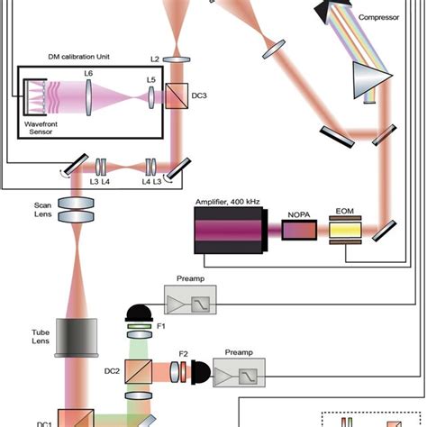 Schematic Experimental Set Up Femto Second Laser Pulses At Nm Are