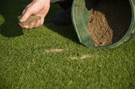 Football Pitch Maintenance Guide