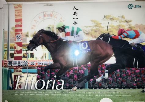 Yahooオークション エフフォーリア 札幌競馬場オンライン抽選会 202