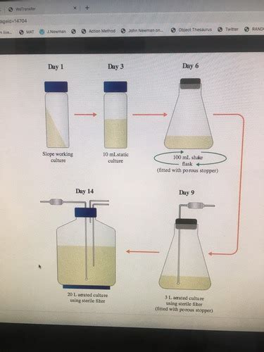 Fermentation Yeast Management Flashcards Quizlet