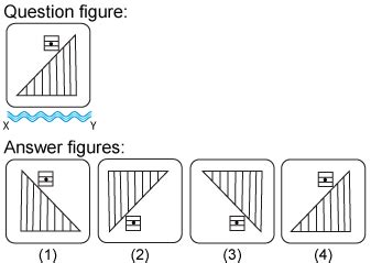 Water Images Test Solved Questions With Detailed Explanations