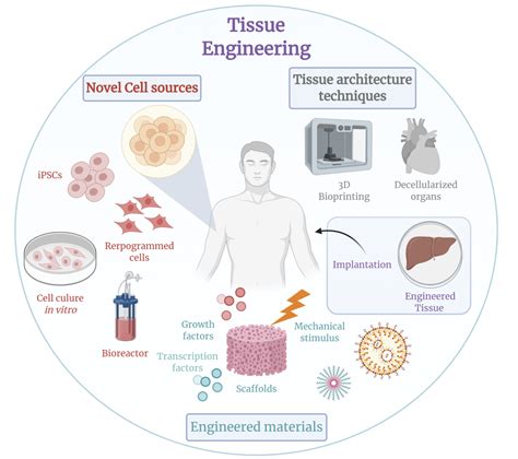 D Bioprinting Technology Where It Started And Where Its Going