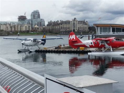 HARBOUR AIR SEAPLANES (Sechelt) - 2022 What to Know BEFORE You Go