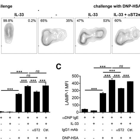 Il Signaling In Bmmcs Promotes Antigen Driven Ige Mediated