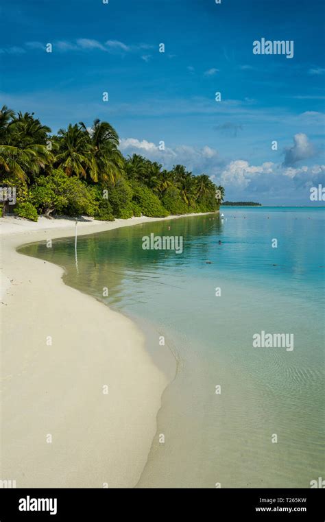 Maledives Ari Atoll Nalaguraidhoo Sun Island Vegetation And Beach