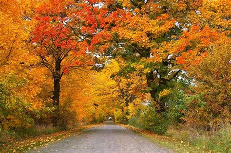 This Interactive Map Will Help You Plan The Ultimate Leaf Peeping Trip