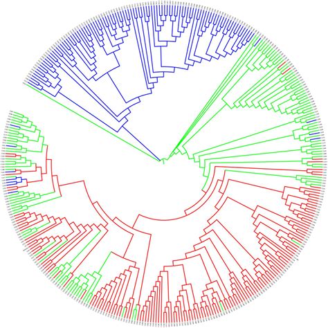 Frontiers Genetic Diversity Population Structure And Linkage