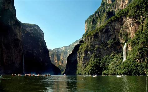 Cañón del Sumidero y su biodiversidad única El Heraldo de Chiapas