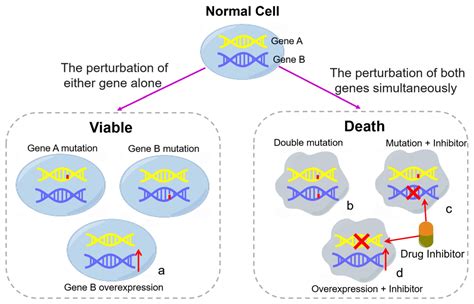 Pharmaceutics Free Full Text Unleashing The Power Of Synthetic