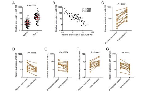 Mir 203 Expression Pattern In Colon Cancer A Mir 203expression In 64