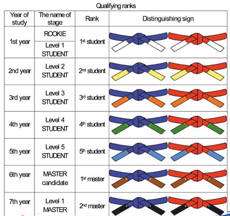 Bjj Vs Sambo Which One Is Better Sgs Krav Maga