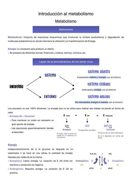 Metabolismo Jhennyfer Cabral Udocz