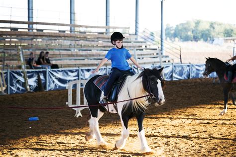 We're doing right by our therapy horses