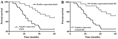 Correlations Of P16 And Nm23 H1 Protein Expression Levels With Survival Download Scientific