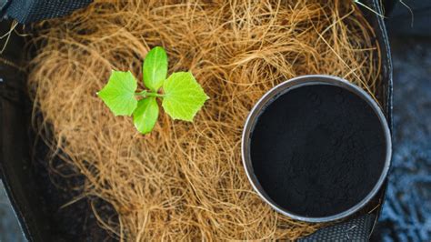 AXIT HUMIC LÀ GÌ CÁC LOẠI HUMIC TỐT HIỆN NAY