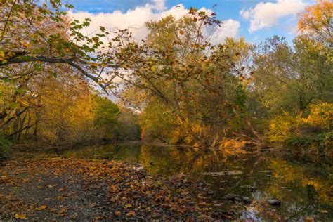 20 Ramapo River Stock Photos Pictures And Royalty Free Images Istock