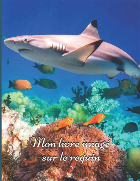 Buy Mon livre imagé sur le requin Mon premier imagier pour les enfants