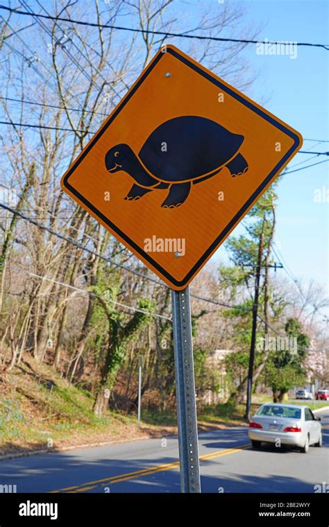 View Of A Yellow And Black Turtle Crossing Road Sign In New Jersey