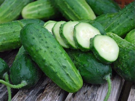 Cucumber Seeds Boston Pickling Cucumber Seeds Heirloom Non Gmo Se