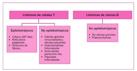 Linfoma cutáneo epiteliotropo Clindervet revista clínica con