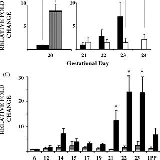 Pdf Integration Of Endocrine And Mechanical Signals In The Regulation