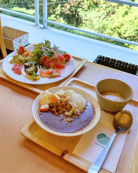 吉川屋 福島県産フルーツカレーりんご添え Cantik Yoga Art Akiのブログ