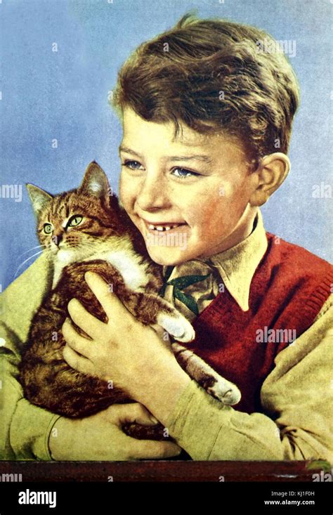 Boy Holding A Cat English Circa 1950 Stock Photo Alamy