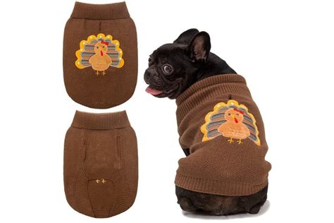 Thanksgiving Dog Collars, Sweaters, and More - Great Pet Living