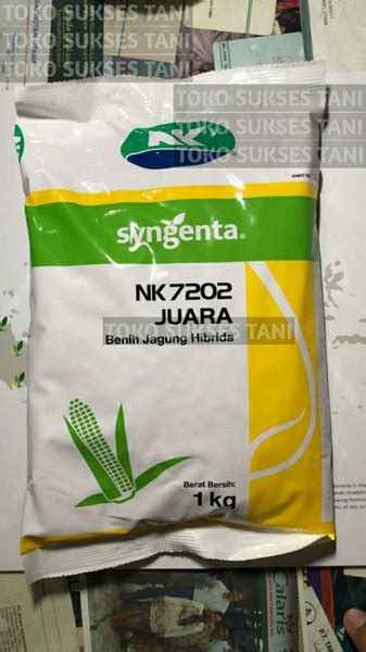 Jual Benih Jagung Nk7202 Juara Hibrida Dari Syngenta Isi 1kg Di Lapak