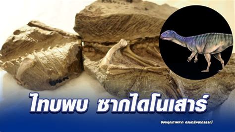 ไทยพบไดโนเสาร์ สายพันธุ์ใหม่ของโลก “มินิโมเคอร์เซอร์ ภูน้อยเอนซิส” นัก