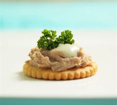 Tuna Canape stock image. Image of entree, delicious, finger - 24664947