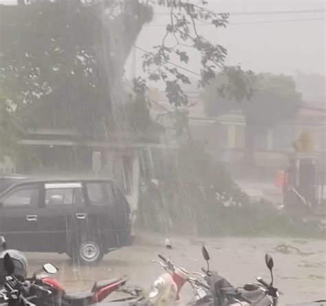 Hujan Deras Disertai Angin Kencang Landa Leuwiliang Pohon Di Depan