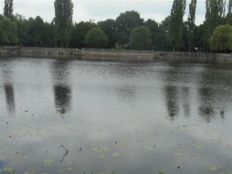 Alster Lattenkamp Bis Saseler Damm Teil Drei Des Alsterwa Flickr