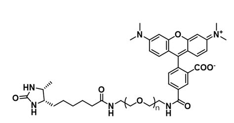 Desthiobiotin Peg Rbdsb Peg Rb Udp Mof