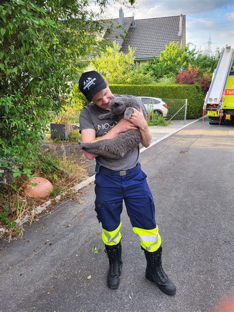 Tierrettung Feuerwehr Bubikon