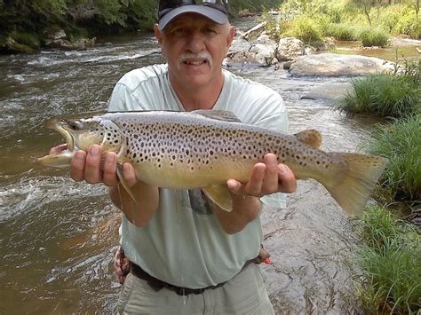 About Big Rock Creek Big Rock Creek Fly Fishing Club