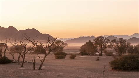 Namibia El Destino Para Vivir Un Safari De Ensueño Grazia México Y